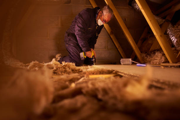 Best Eco-Friendly or Green Insulation Solutions  in Dewitt, MI